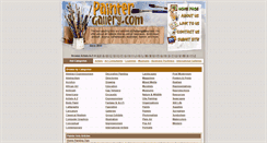 Desktop Screenshot of paintergallery.com